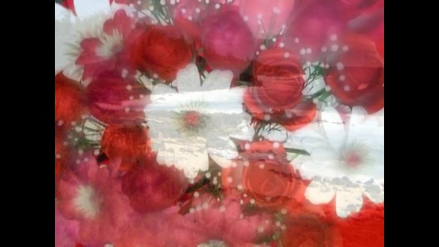 Ирина Аллегрова Транзитный пассажир