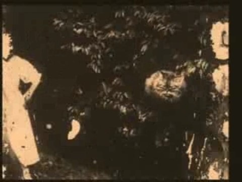 Alice In Wonderland 1903