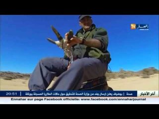 شبح الإفلاس يهدد الوكالات بأقصى الجنوب