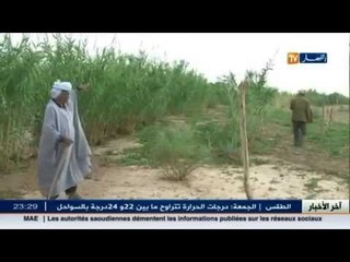 واد "المنحر" خطر يهدد الأراضي الفلاحية.. و الفلاحون يطالبون بالحماية