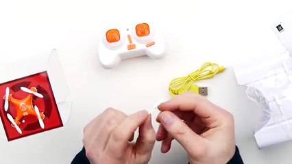 Worlds-Smallest-Drone