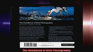 The Handbook of Bird Photography