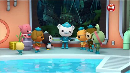 Les octonauts et les anguilles visqueuses - Octonauts