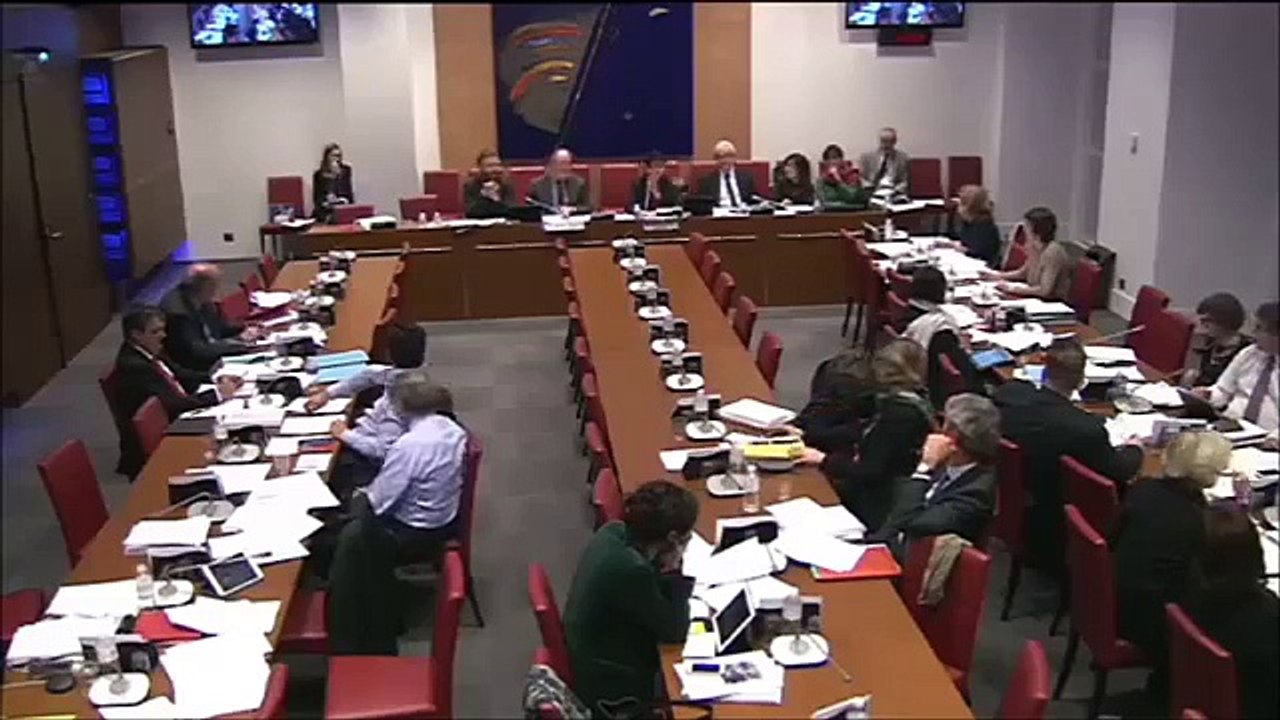 La Réalité du Vote des Lois en Démocratie