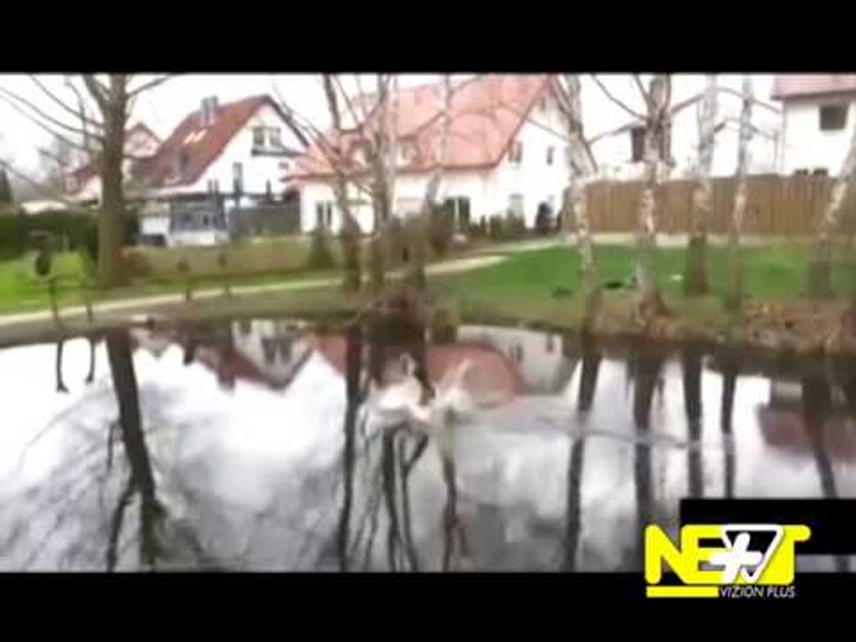 Next - Crazy / Tech - 27 Qershor 2014 - Show - Vizion Plus