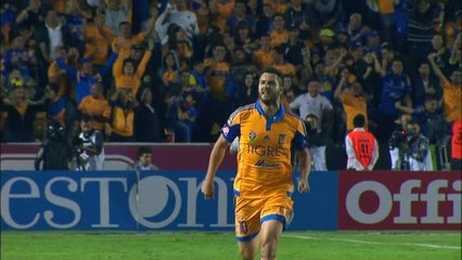 Download Video: Tigres - La bicyclette de Gignac