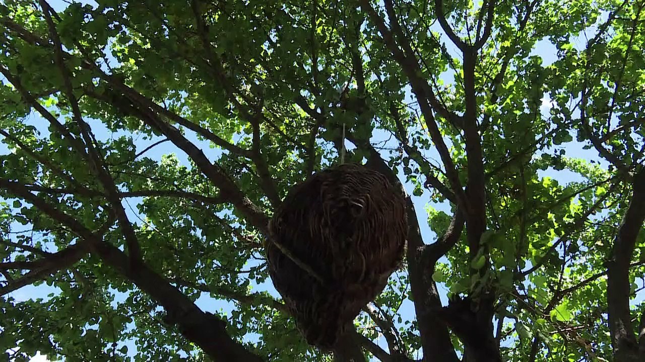 Verbotene Früchte: Weinmacher in Pakistan