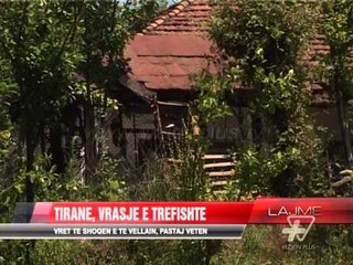 Download Video: Vrasje e trefishte në Pezë - News, Lajme - Vizion Plus