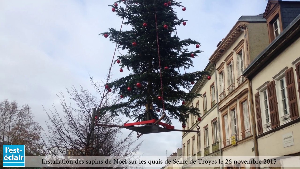 La mise en place des sapins de Noël sur les quais de Seine de Troyes le 26 novembre 2015