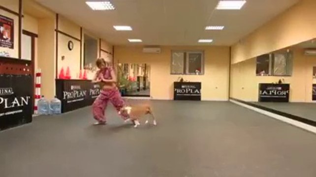 Smart dog dances with his owner... So cute indian