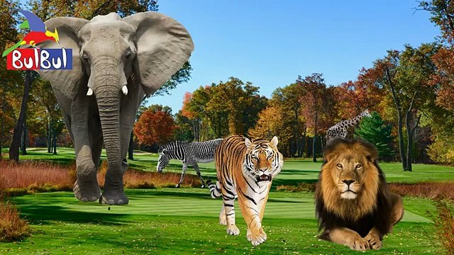 2D Finger Family Animation 245 _ Animal-Christmas Ice Cream-Spiderman-Pocoyo Finger Song , Animated and game cartoon movie online free video 2016