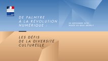 De Palmyre au numérique, les défis de la diversité culturelle : reportage