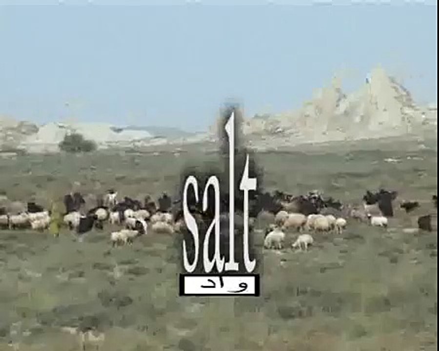 salt