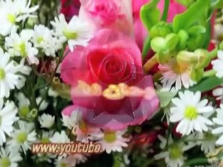 Ethiopian Muslim wedding song