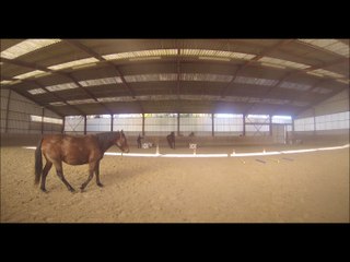 2015.11.26.b.manege.tenebra