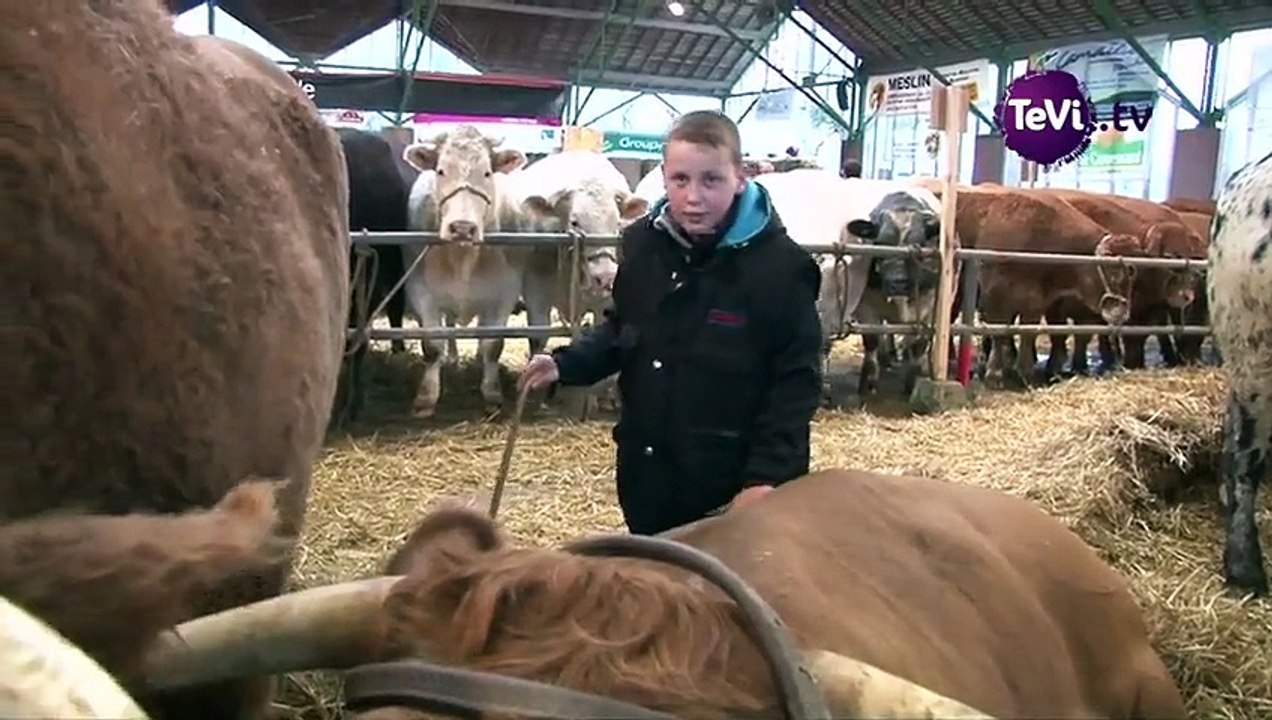 11ème Festival de la Viande à Torigni-sur-Vire [TéVi] 15_11_26