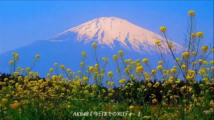 【MV】今日までのメロディー ダイジェスト映像 / AKB48[公式]