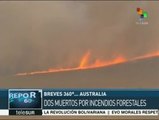 Australia: incendios forestales destruyen 100 mil hectáreas