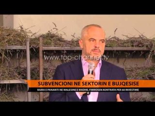 Subvencioni në sektorin e bujqësisë - Top Channel Albania - News - Lajme