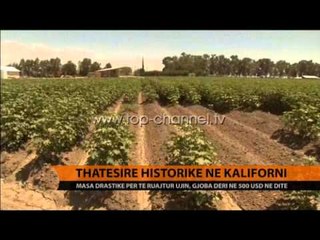 Thatësira historike në Kaliforni - Top Channel Albania - News - Lajme