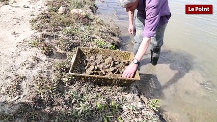 Futur incinérateur d'Échillais : une menace pour l'environnement ?