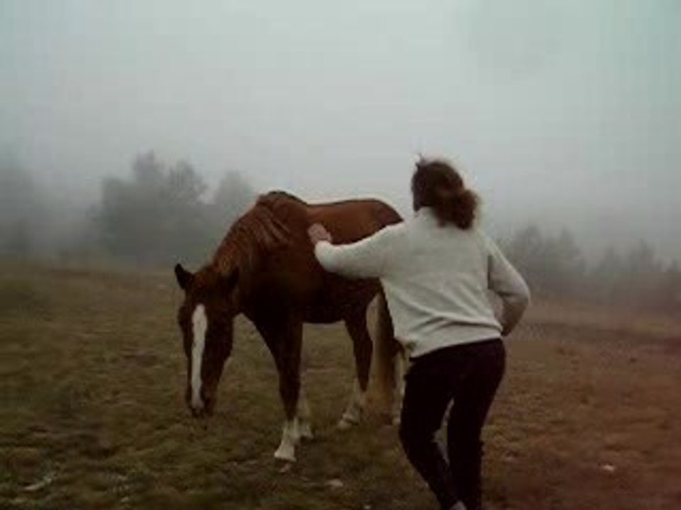 Fougueux cheval