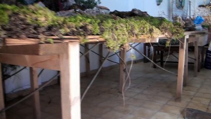 D!CI TV : Dans les coulisses de la préparation de la crêche de Noël de La Conche