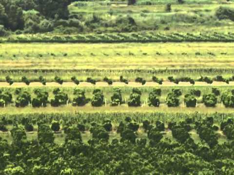 KRYEMINISTRI NE BERAT RAMA, SKEMA PER NXITJEN DHE RUAJTJEN E PRODHIMIT VENDAS LAJM