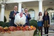 Obama perdona la vida a los pavos 'Honest' y 'Abe'