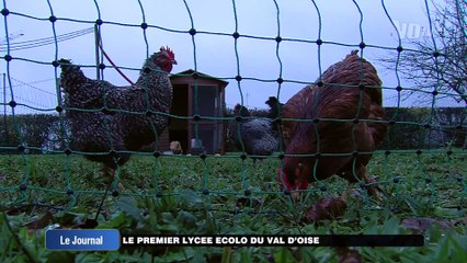 Le JT de VOtv du 26 novembre 2015