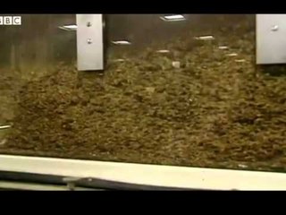 DEMSHPERBLIM MARRAMENDES GRUAJA MERR SHIFREN E 23 6 MLD USD NGA KOMPANIA E DUHANIT LAJM