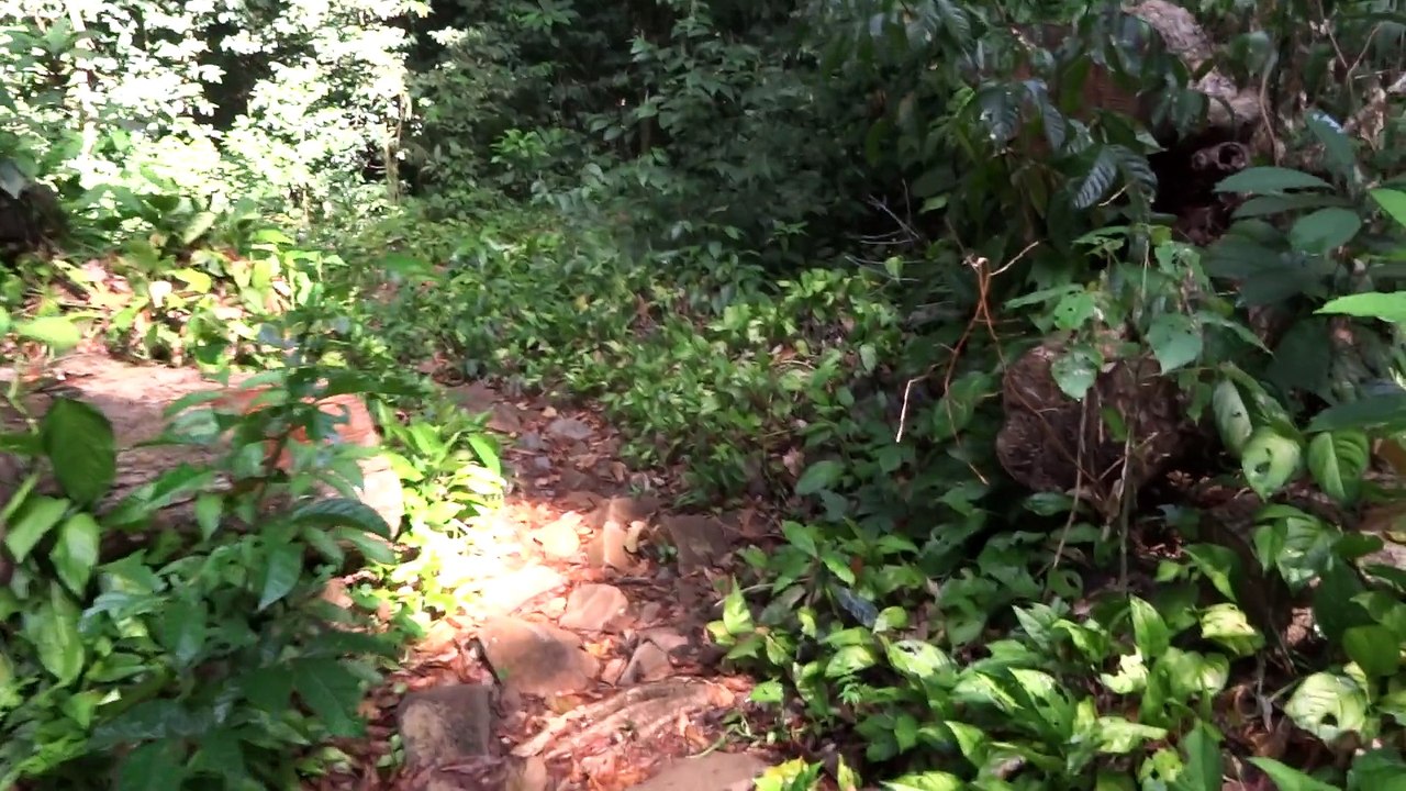 Ilet "La Mère" - Guyane