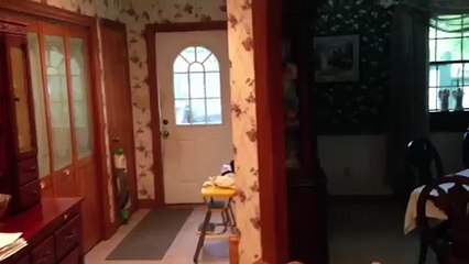 A Smart dog opening and closing a door