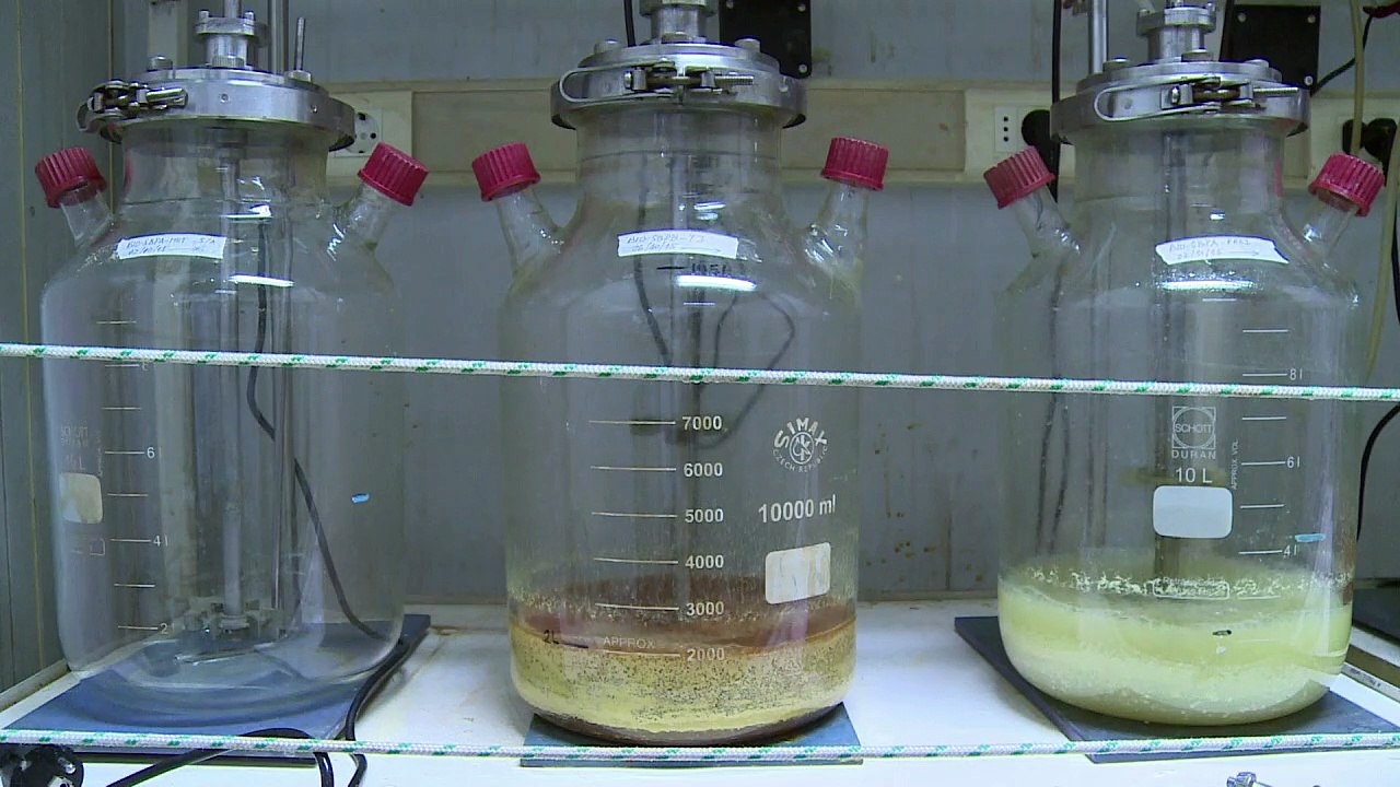 Chile revolutionising mining with bacteria biotech
