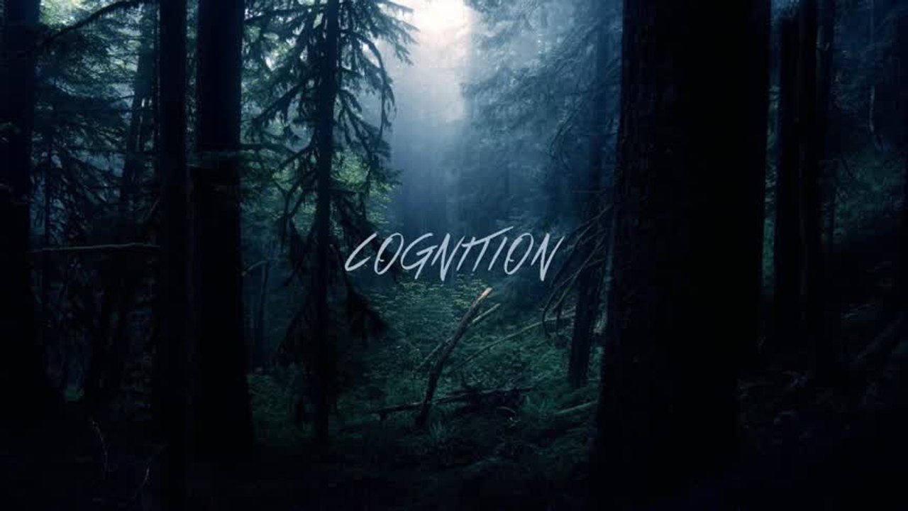 Cognition [Rock Guitar Style Beat]
