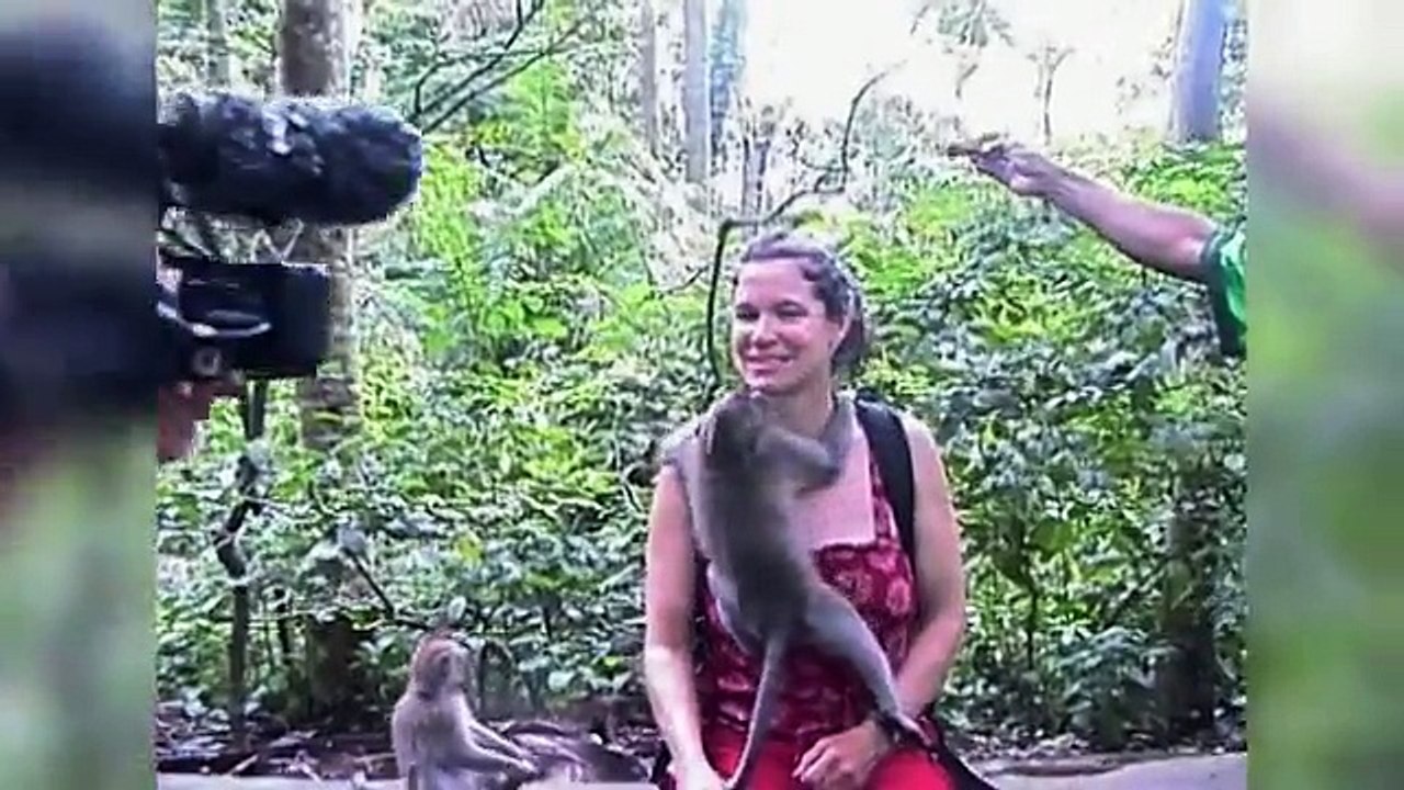 And what monkey Do.. watch this video