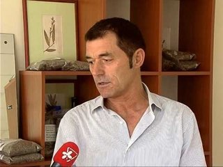 BIMET MEDICINALE JANE THESARI YNE PASI SHQIPERIA MBULON GJYSMEN E TREGUT TE SHBA LAJM