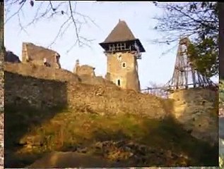 Невицьке - Замки Украины