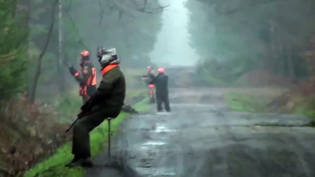 Chasse au sanglier et Tir à la Ligne !