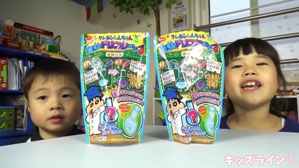 クレヨンしんちゃん 実験ドリンクだゾ6 食玩 知育菓子