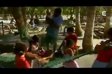 Documentaire des chiens