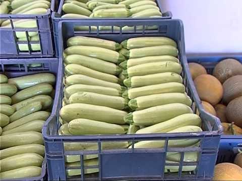 SI DO MBESHTETEN FERMERET MINISTRI PANARITI,“SUBVENCIONE E KREDI TE BUTA PER BUJQESINE” LAJM