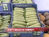 Panariti: Si do të mbështeten fermerët?! - News, Lajme - Vizion Plus
