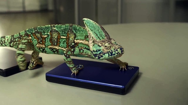 Забавный хамелеон меняет цвет)))