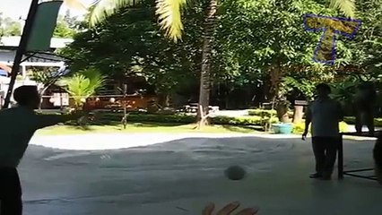 La educación física en los animales. Funny Animals practican deportes