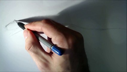 How To Draw Allosaurus Full Body