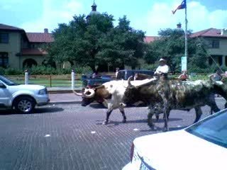 Stockyards