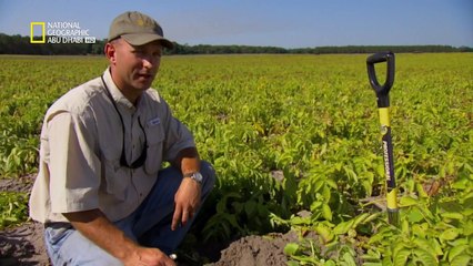 مصانع عملاقة HD : Frito Lay