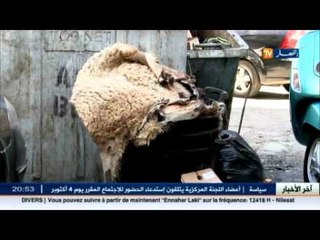 عيد الأضحى: الهيدورة تفقد مكانتها في المنازل الجزائرية