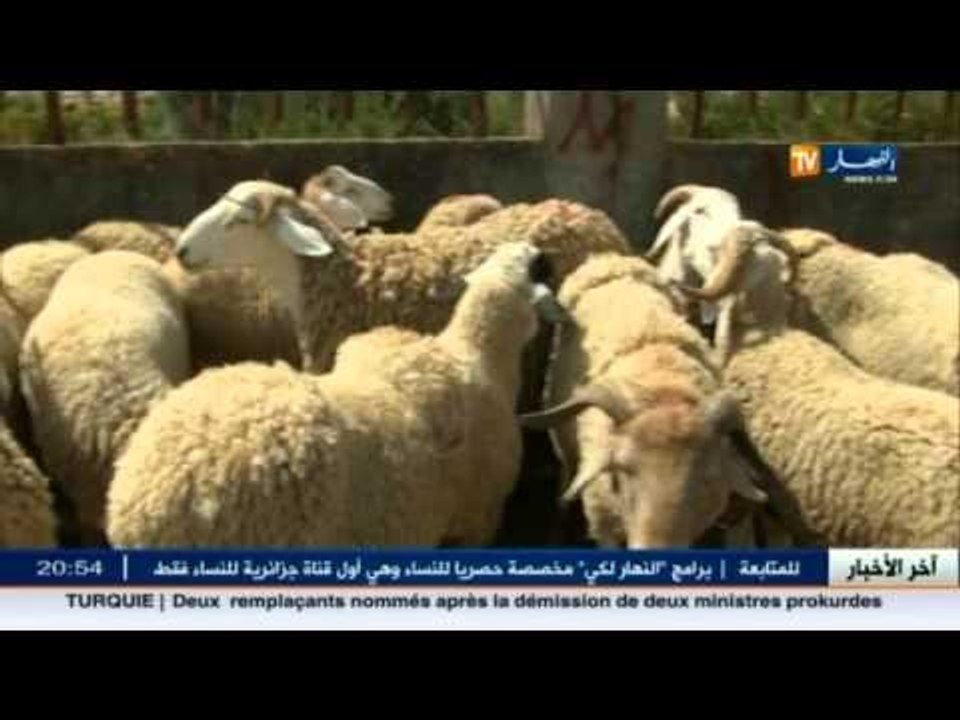 عيد الاضحى : الموالون يرجعون بما تبقى لديهم من أضاحي
